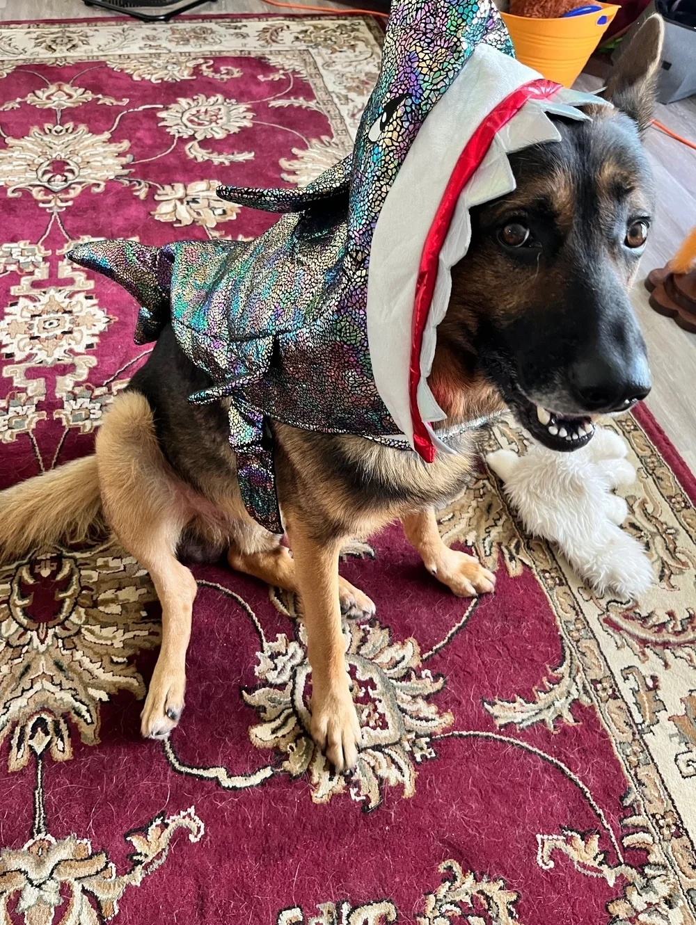 Hilarious Iridescent Shark Costume for Large Dogs – Make a Splash!